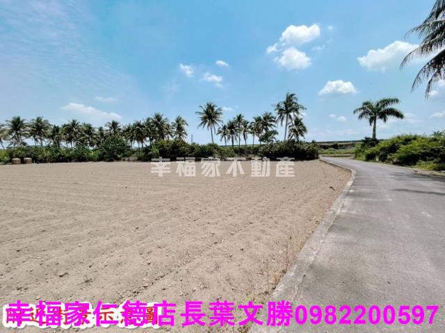 仁德農地-14