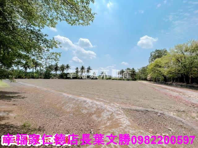 仁德農地-3