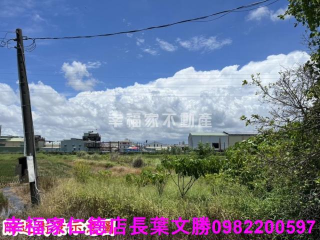 仁德農地-3