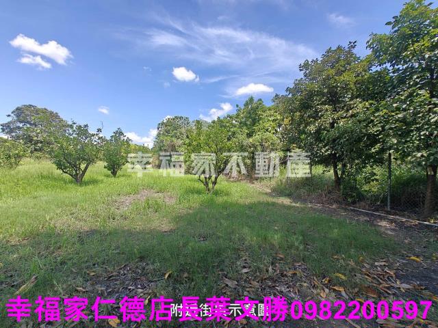 台南麻豆農地-14