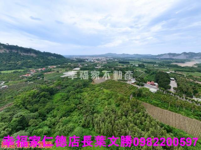 玉井農地-8
