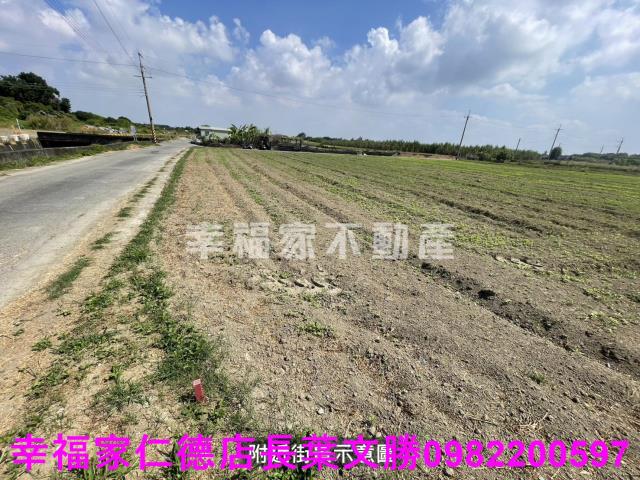 仁德農地-2