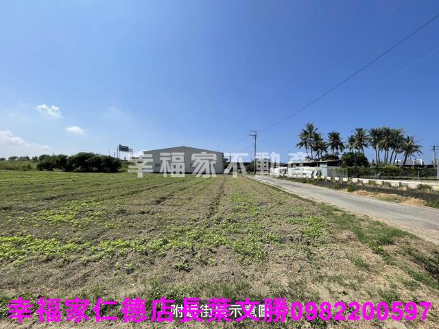 仁德農地-8