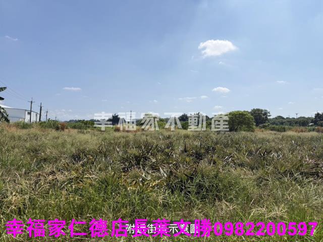 新市農地-11