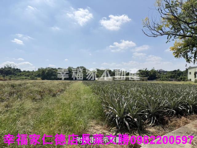 新市農地-6