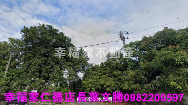 歸仁農地-14