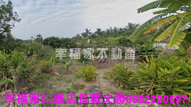 歸仁農地-5