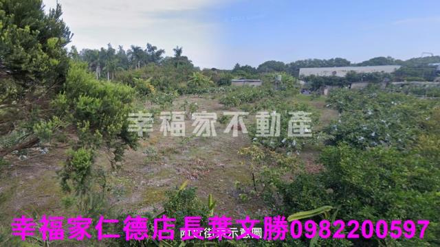 歸仁農地-8