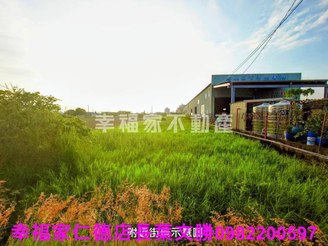 安定農地-1