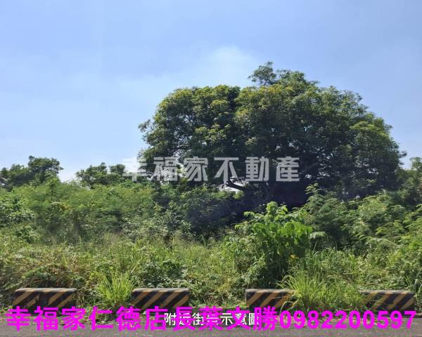 台南農地-10