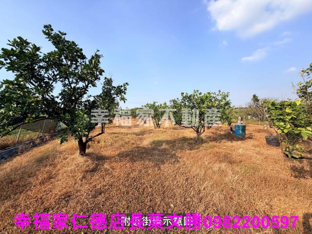下營農地-11
