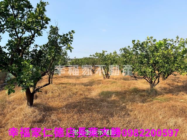 下營農地-13