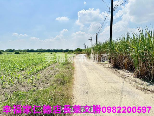 善化農地-8