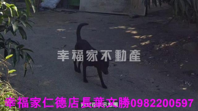 歸仁農地-1