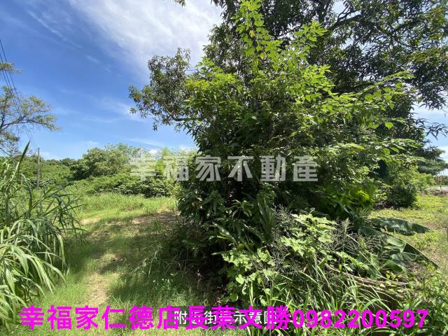 台南歸仁農地-8