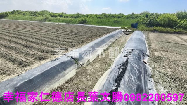 台南安南農地-2