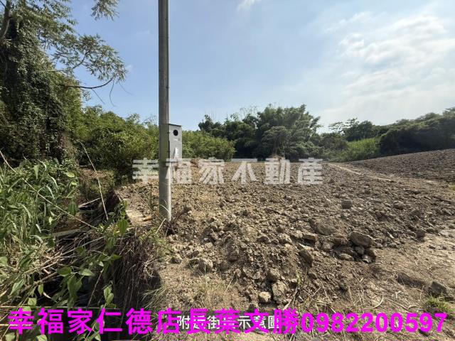 關廟農地-11