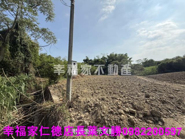關廟農地-12