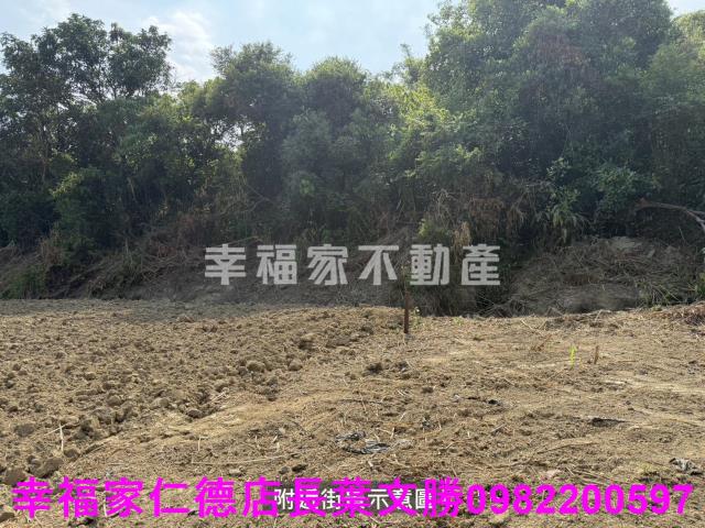 關廟農地-4