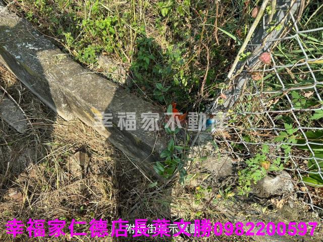 歸仁特定目的事業用地-7