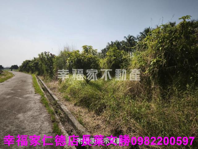 台南農地-10