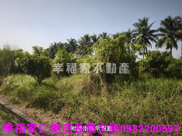 台南農地-11