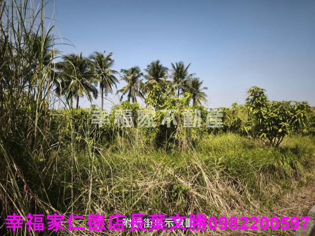 台南農地-13