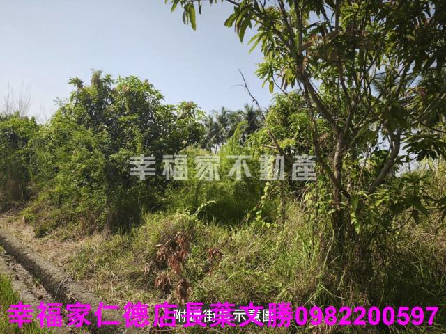 台南農地-14