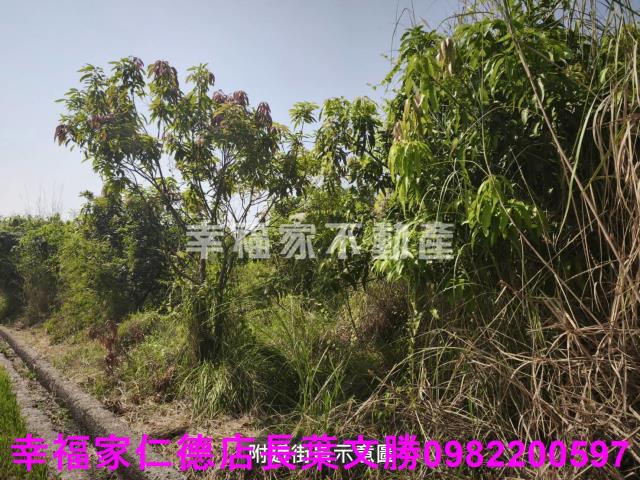 台南農地-0