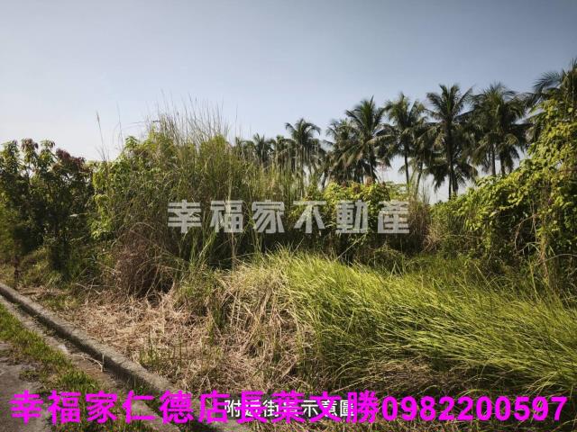 台南農地-1