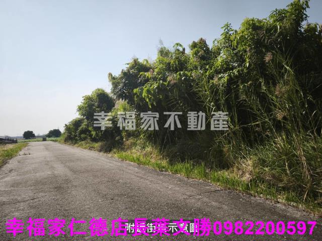 台南農地-2