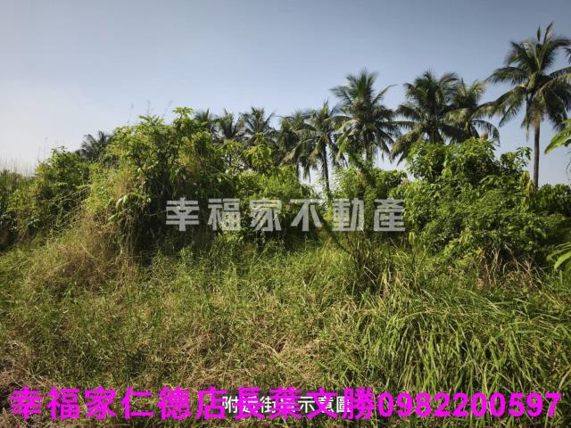 台南農地-3