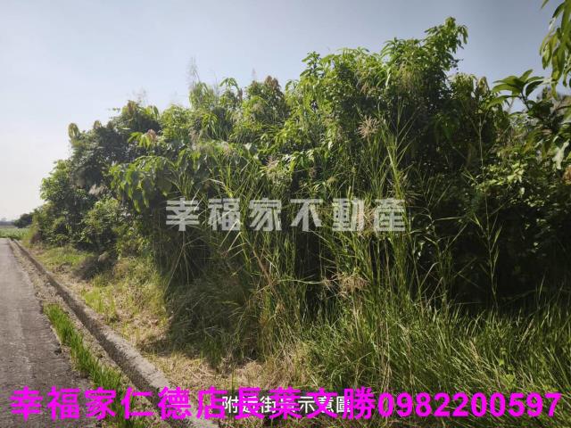 台南農地-4