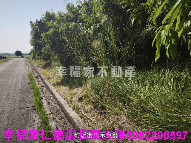 台南農地-6